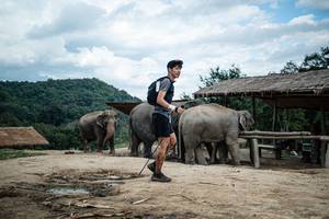 BIB: 
                            <button type="button" onclick="openModal(22424295)" class="btn btn-primary btn-sm float-right btn-popup" data-toggle="modal" data-target=".modal-high-quality">
                        <i class="fas fa-shopping-cart"></i> Add to Cart
                    </button>
                                            <button type="button" onclick="isThisMe(22424295, true)" class="btn btn-success btn-sm float-right btn-popup btn-isme hidden" data-toggle="tooltip" data-placement="bottom" title="นี่คือรูปของคุณใช่ไหม คลิกที่นี่เพื่อเอาเข้าอัลบั้ม">
                        <i class="fas fa-plus"></i> Add to album
                    </button>
                    <button type="button" onclick="isThisMe(22424295, false)" class="btn btn-warning btn-sm float-right btn-popup btn-isnotme hidden">
                        <i class="fas fa-ban"></i> Remove from album
                    </button>